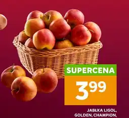 Stokrotka Jabłka oferta