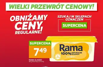 Stokrotka Rama Classic oferta