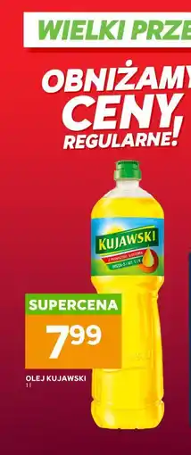 Stokrotka Olej Kujawski oferta