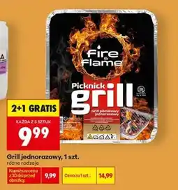 Biedronka Grill jednorazowy 1 szt oferta