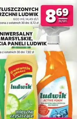 Stokrotka Płyn do zatłuszczonych powierzchni Ludwik Active Foam oferta