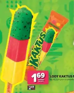Stokrotka Market Lody Kaktus oferta
