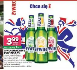 Stokrotka Market PIWO SMAKOWE ŻYWIEC 0,0% oferta