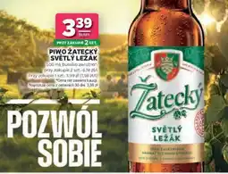 Stokrotka Market Piwo Žatecký Světlý Ležák oferta