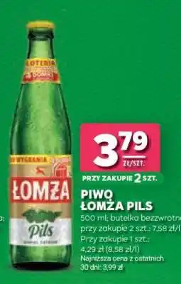 Stokrotka Market PIWO ŁOMŻA PILS oferta