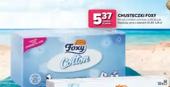 Stokrotka Market Chusteczki Foxy oferta
