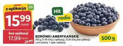 Stokrotka Market Borówki amerykańskie oferta