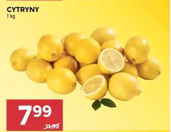 Stokrotka Market Cytryny oferta