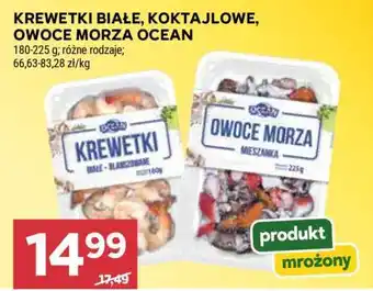 Stokrotka Market Krewetki białe, koktajlowe, owoce morza Ocean oferta