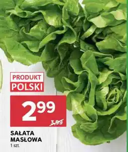 Stokrotka Market Sałata masłowa oferta