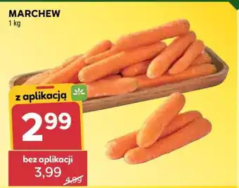 Stokrotka Market Marchew oferta