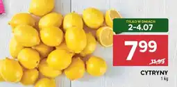 Stokrotka Market Cytryny oferta