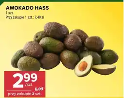 Stokrotka Market Awokado HASS oferta
