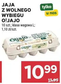 Stokrotka Market Jaja z wolnego wybiegu O!jajo oferta