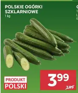 Stokrotka Market Polskie Ogórki Szklarniowe oferta