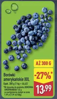 ALDI Borówki amerykańskie XXL oferta