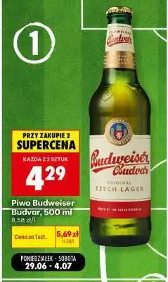 Biedronka Piwo Budweiser Budvar 500 ml oferta