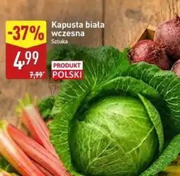 ALDI Kapusta biała wczesna oferta