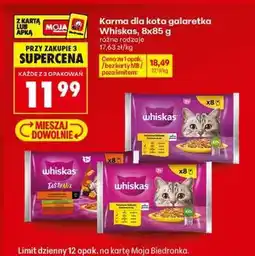 Biedronka Karma dla kota galaretka Whiskas, 8x85 g oferta