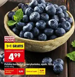 Biedronka Polska borówka amerykańska, opak. 125 g oferta