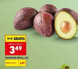 Biedronka Awokado Hass szt oferta