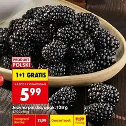 Biedronka Jeżyna polska, opak. 125 g oferta