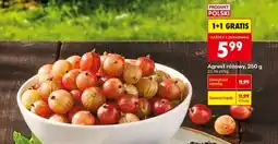 Biedronka Agrest różowy, 250 g oferta