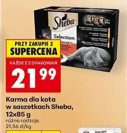 Biedronka Karma dla kota w saszetkach Sheba, 12x85 g oferta