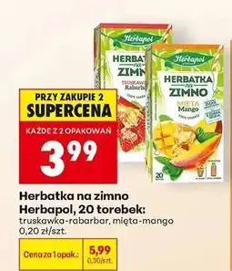 Biedronka Herbatka na zimno oferta