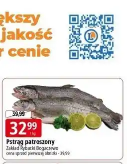 E.Leclerc Pstrąg patroszony Zakład Rybacki Bogaczewo oferta