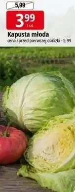 E.Leclerc Kapusta młoda oferta