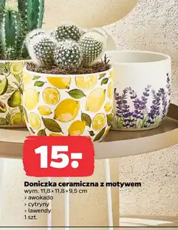 Netto Doniczka oferta