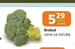 Społem Częstochowa Brokuł oferta