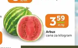 Społem Częstochowa Arbuz oferta