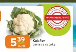 Społem Częstochowa Kalafior oferta