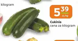 Społem Częstochowa Cukinia oferta