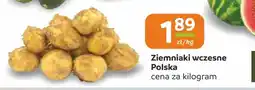 Społem Częstochowa Ziemniaki wczesne polskie oferta