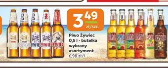 Społem Częstochowa Piwo Żywiec oferta