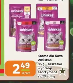 Społem Częstochowa Karma dla kota Whiskas saszetka oferta