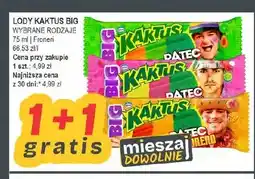 Słoneczko Lody Kaktus Big oferta