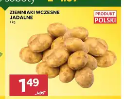 Stokrotka Ziemniaki Polski oferta