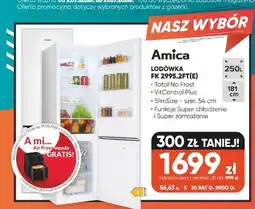 Max Elektro Lodówka Amica FK 2995,2FT(E) oferta