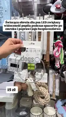 Pepco Świecąca obroża dla psa LED for Pets oferta