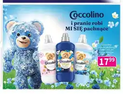 Drogerie Polskie Płyn do płukania Coccolino Sensitive oferta