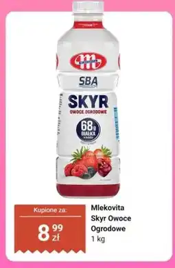 Dino Jogurt skyr Owoce Ogrodowe Mlekovita oferta