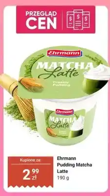 Dino Pudding Matcha Latte Ehrmann oferta