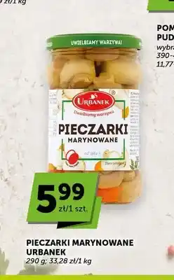 ABC Pieczarki marynowane Urbanek oferta
