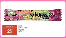 Dino Lody na patyku Koral Ekipa XL oferta