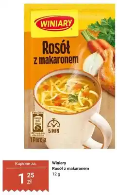 Dino Zupa rosół z makaronem Winiary oferta