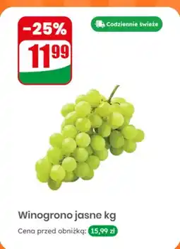 Dino Winogrono jasne oferta